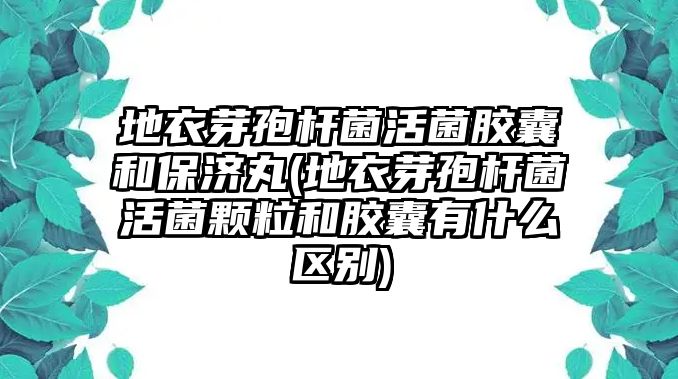 地衣芽孢桿菌活菌膠囊和保濟(jì)丸(地衣芽孢桿菌活菌顆粒和膠囊有什么區(qū)別)