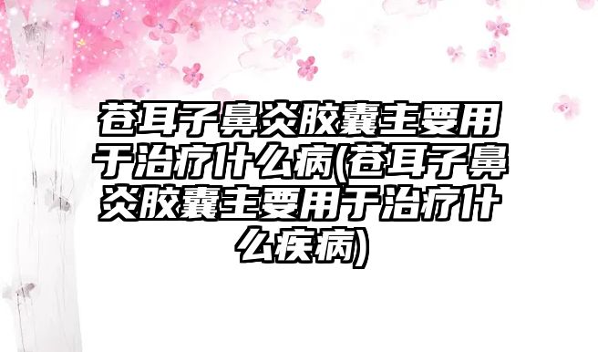 蒼耳子鼻炎膠囊主要用于治療什么病(蒼耳子鼻炎膠囊主要用于治療什么疾病)