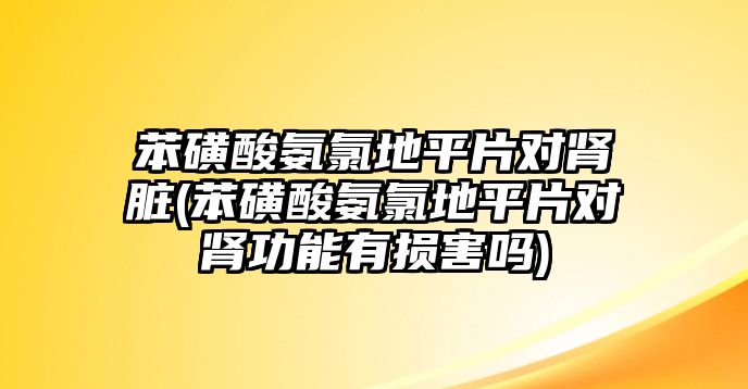 苯磺酸氨氯地平片對腎臟(苯磺酸氨氯地平片對腎功能有損害嗎)