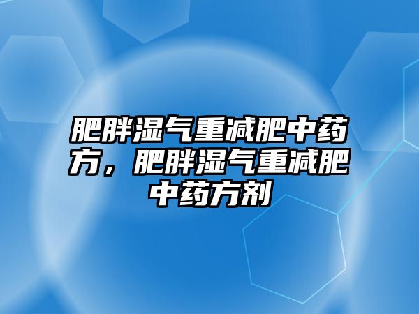 肥胖濕氣重減肥中藥方，肥胖濕氣重減肥中藥方劑