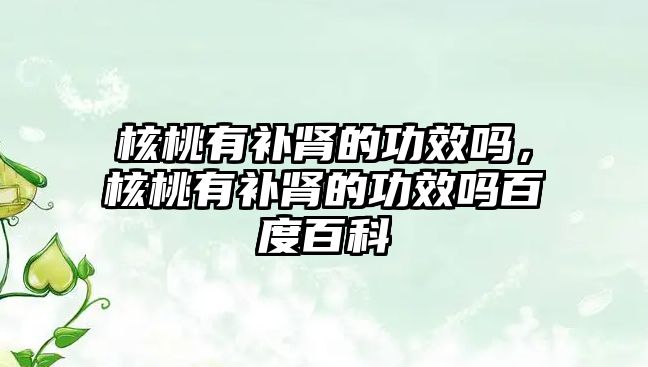 核桃有補腎的功效嗎，核桃有補腎的功效嗎百度百科