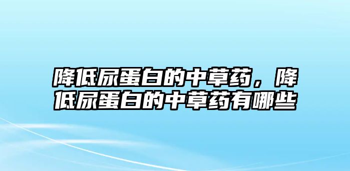 降低尿蛋白的中草藥，降低尿蛋白的中草藥有哪些