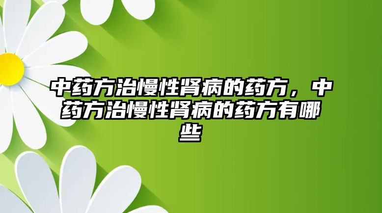 中藥方治慢性腎病的藥方，中藥方治慢性腎病的藥方有哪些