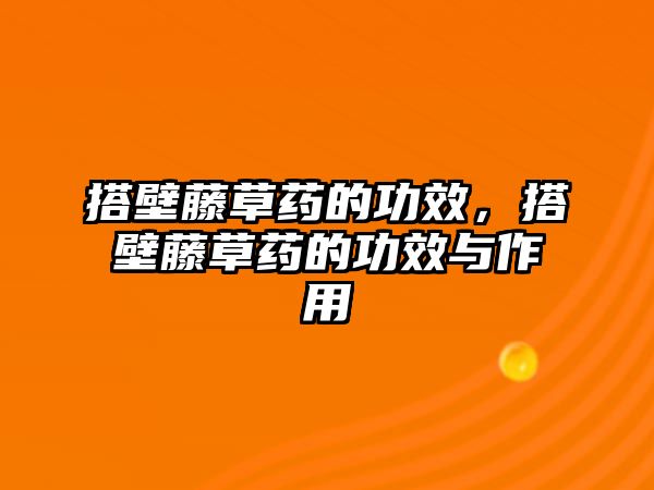 搭壁藤草藥的功效，搭壁藤草藥的功效與作用