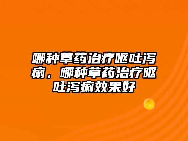 哪種草藥治療嘔吐瀉痢，哪種草藥治療嘔吐瀉痢效果好