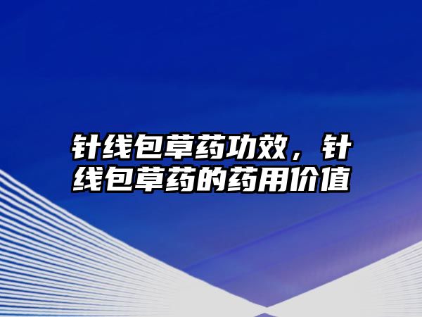 針線包草藥功效，針線包草藥的藥用價(jià)值