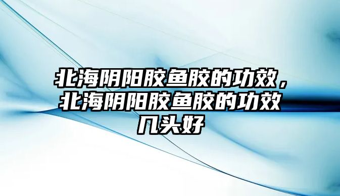 北海陰陽膠魚膠的功效，北海陰陽膠魚膠的功效幾頭好