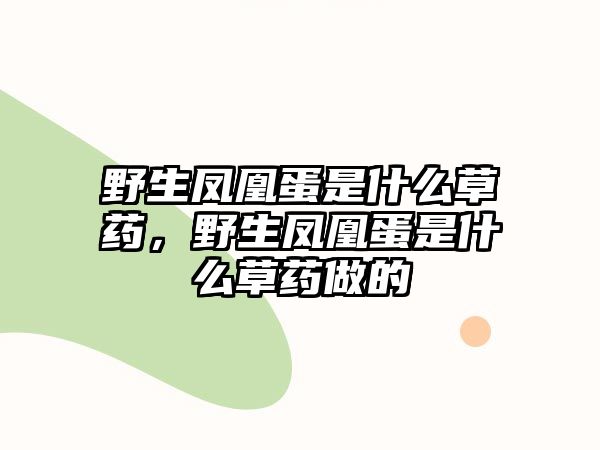 野生鳳凰蛋是什么草藥，野生鳳凰蛋是什么草藥做的