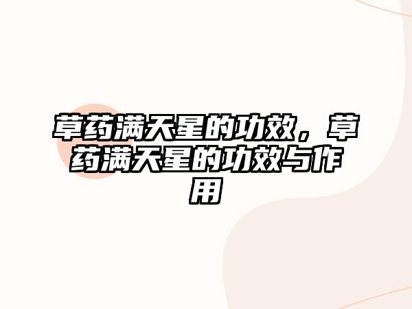 草藥滿天星的功效，草藥滿天星的功效與作用