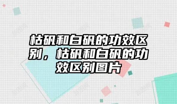 枯礬和白礬的功效區(qū)別，枯礬和白礬的功效區(qū)別圖片