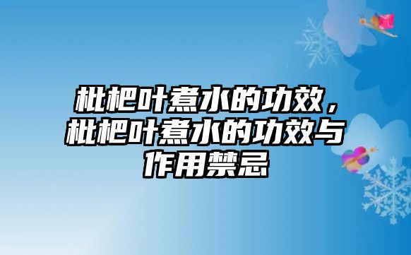 枇杷葉煮水的功效，枇杷葉煮水的功效與作用禁忌