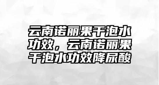 云南諾麗果干泡水功效，云南諾麗果干泡水功效降尿酸