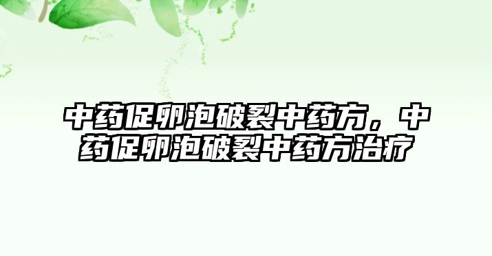 中藥促卵泡破裂中藥方，中藥促卵泡破裂中藥方治療