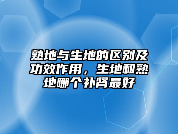 熟地與生地的區(qū)別及功效作用，生地和熟地哪個補腎最好