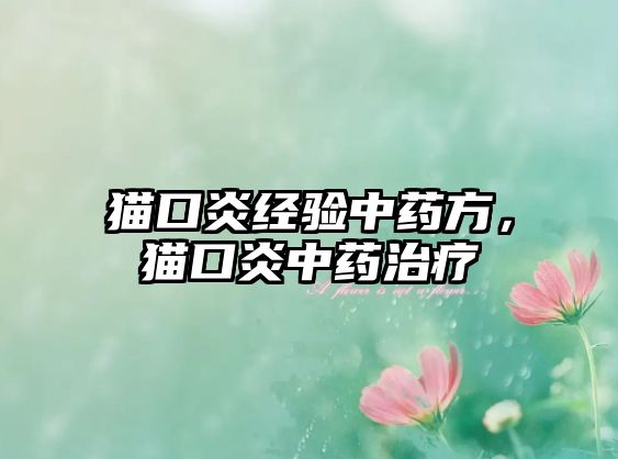 貓口炎經(jīng)驗(yàn)中藥方，貓口炎中藥治療