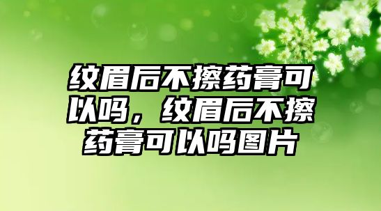 紋眉后不擦藥膏可以嗎，紋眉后不擦藥膏可以嗎圖片