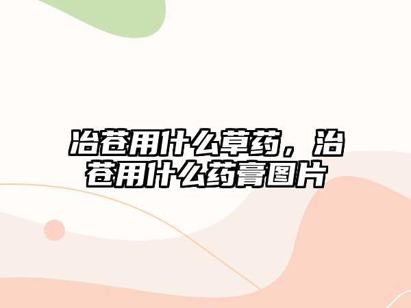 冶蒼用什么草藥，治蒼用什么藥膏圖片