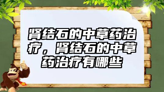 腎結石的中草藥治療，腎結石的中草藥治療有哪些