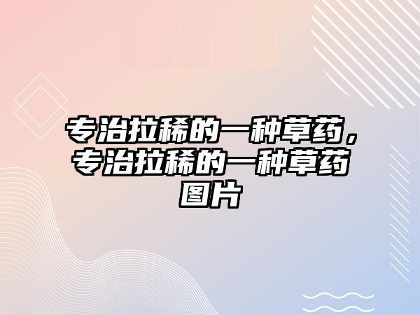 專治拉稀的一種草藥，專治拉稀的一種草藥圖片