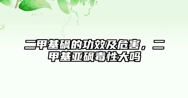 二甲基砜的功效及危害，二甲基亞砜毒性大嗎