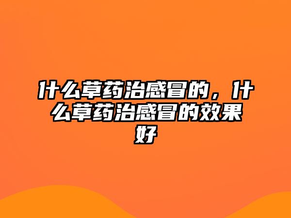 什么草藥治感冒的，什么草藥治感冒的效果好