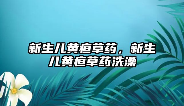 新生兒黃疸草藥，新生兒黃疸草藥洗澡