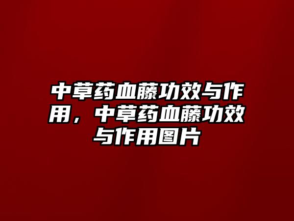 中草藥血藤功效與作用，中草藥血藤功效與作用圖片