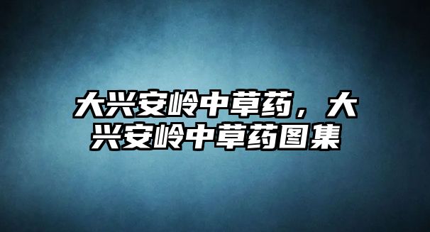 大興安嶺中草藥，大興安嶺中草藥圖集