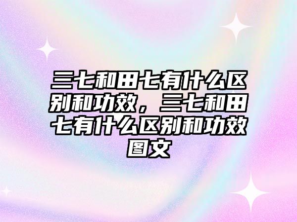 三七和田七有什么區(qū)別和功效，三七和田七有什么區(qū)別和功效圖文