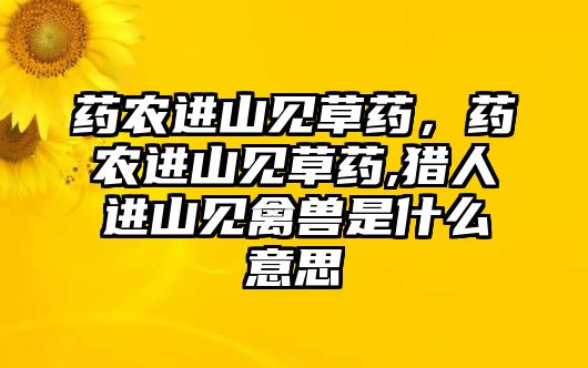 藥農(nóng)進(jìn)山見草藥，藥農(nóng)進(jìn)山見草藥,獵人進(jìn)山見禽獸是什么意思