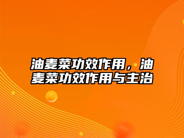 油麥菜功效作用，油麥菜功效作用與主治