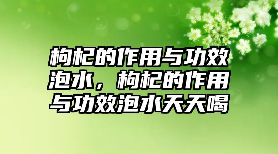 枸杞的作用與功效泡水，枸杞的作用與功效泡水天天喝